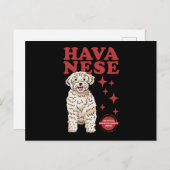 Havanischer Hund der Coolsten | Havaneses Postkarte (Vorne/Hinten)