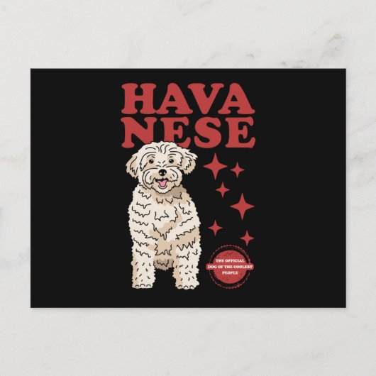 Havanischer Hund der Coolsten | Havaneses Postkarte (Vorderseite)