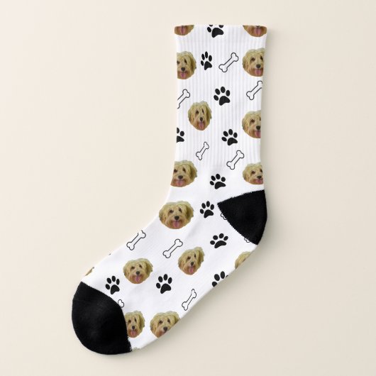 Havanischer Hund Socken (Links - Außen)