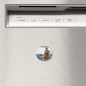 Havanischer Hund, Tier, Kanine Magnet (In Situ (Geschirrspüler))