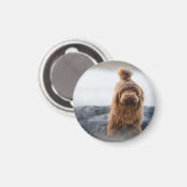 Havanischer Hund, Tier, Kanine Magnet (Vorderseite/Rückseite)