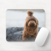 Havanischer Hund, Tier, Kanine Mousepad (Mit Mouse)
