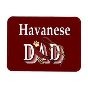 Havanischer VATER Magnet