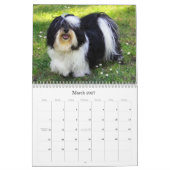 Havanna-Mauerkalender 2025 Kalender (Mär 2027)