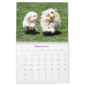 Havanna-Mauerkalender 2025 Kalender (Feb 2027)