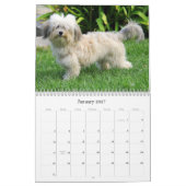 Havanna-Mauerkalender 2025 Kalender (Jan 2027)