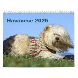 Havanna-Mauerkalender 2025 Kalender