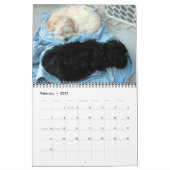 Havanna Rescue Puppies Kalender 2012 (Feb 2027)