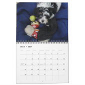 Havanna Rescue Puppies Kalender 2012 (Mär 2027)