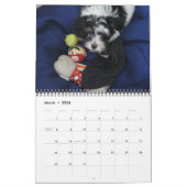 Havanna Rescue Puppies Kalender 2012 (Mär 2026)