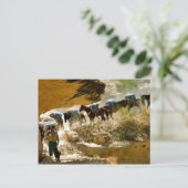 Havasu Canyon Pack Train Postkarte (Stehend Vorderseite)