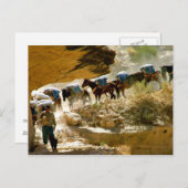 Havasu Canyon Pack Train Postkarte (Vorne/Hinten)
