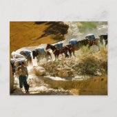 Havasu Canyon Pack Train Postkarte (Vorderseite)