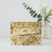 Havasu Canyon Pack Zug Postkarte (Stehend Vorderseite)