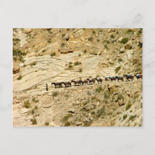 Havasu Canyon Pack Zug Postkarte