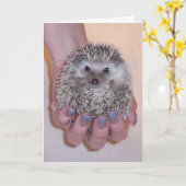 Have A Ball Greeting Card Karte (Gelbe Blume)