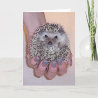 Have A Ball Greeting Card Karte