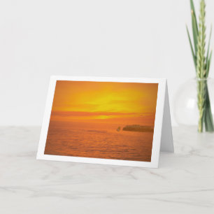 Have A Trump-Free Day! Card Karte