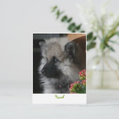 Havel Ankunft in Amerika Postkarte (Stehend Vorderseite)