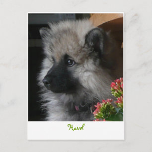 Havel Ankunft in Amerika Postkarte