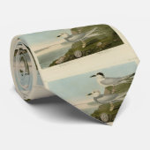 Havell's & Trudeau's Tern Audubon Birds of America Krawatte (Gerollt)
