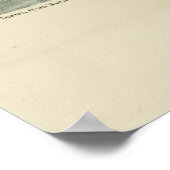 Havell's & Trudeau's Tern Audubon Birds of America Poster (Ecke)