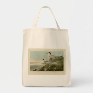 Havell's & Trudeau's Tern Audubon Birds of America Tragetasche