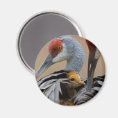 Haven Magnet (Vorderseite/Rückseite)