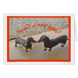 Havent, das wir uns vorher trafen? Humor