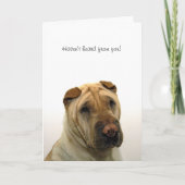 Haven't heard from you karte (Vorderseite)