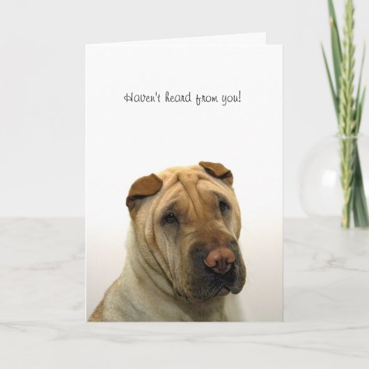 Haven't heard from you karte (Vorderseite)