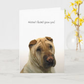 Haven't heard from you karte (Gelbe Blume)