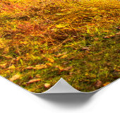 Haviland Cove Beach in Glens Falls, NY Poster (Ecke)