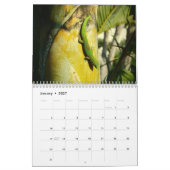 Hawaii 2022 landschaftlicher Zielkalender Kalender (Jan 2027)