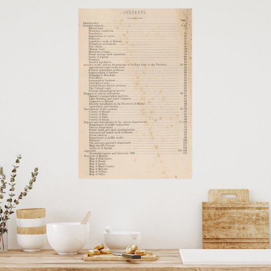 Hawaii 5 poster (Küche)