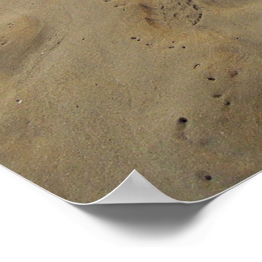 Hawaii Aloha Poster (Ecke)