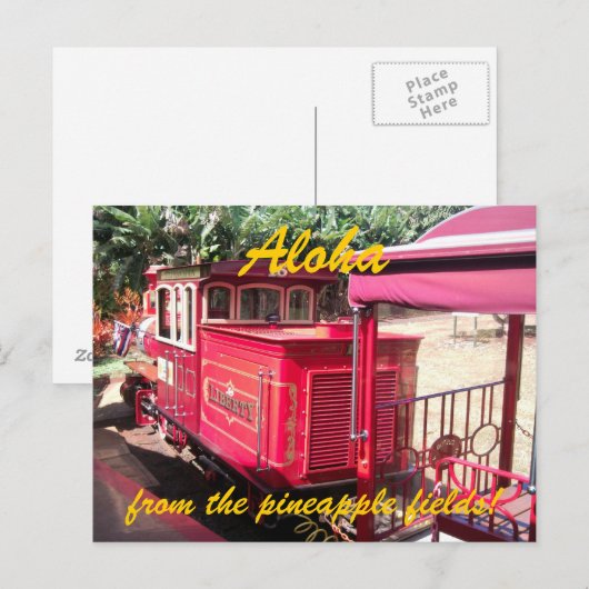 Hawaii Ananas Zug Postkarte (Vorne/Hinten)
