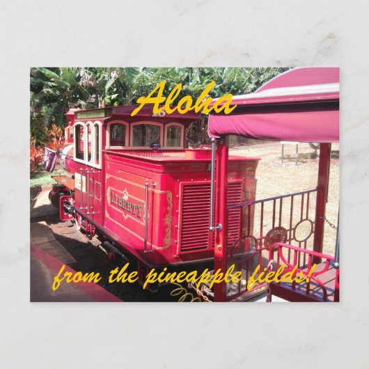 Hawaii Ananas Zug Postkarte (Vorderseite)