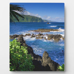 Hawaii Beach Landschaft Fotoplatte