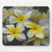 Hawaii Beauty: Die faszinierende Plumeria-Fotograf Mousepad (Vorne)