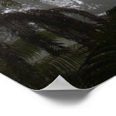 Hawaii, Big Island, Hawaii National Poster (Ecke)