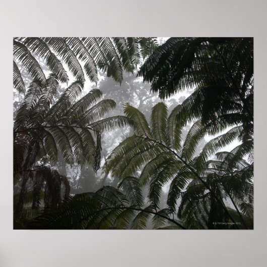 Hawaii, Big Island, Hawaii National Poster (Vorne)