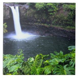 Hawaii, Big Island, Hilo, Rainbow Falls, Lush Fliese