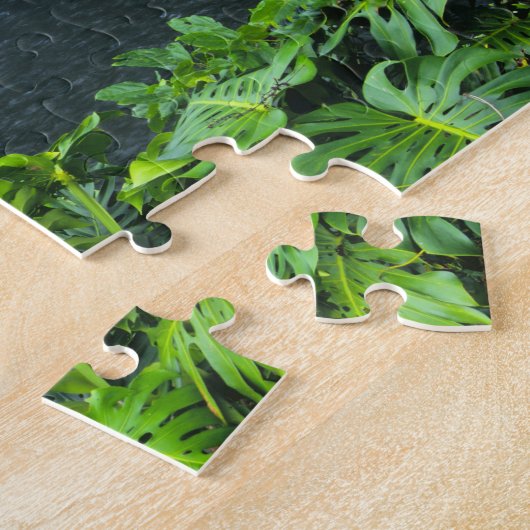 Hawaii, Big Island, Hilo, Rainbow Falls, Lush Puzzle (Seite)