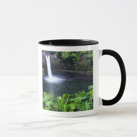 Hawaii, Big Island, Hilo, Rainbow Falls, Lush Tasse (Rechts)