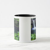 Hawaii, Big Island, Hilo, Rainbow Falls, Lush Tasse (Zentrum)