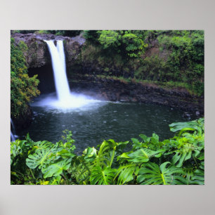 Hawaii, Big Island, Hilo, Rainbow Falls, Üppig Poster