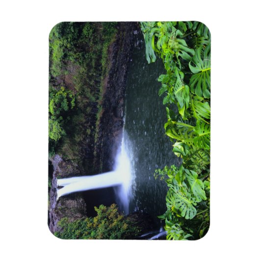 Hawaii, Big Island, Hilo, Regenbogenfälle, Lush Magnet (Vertikal)