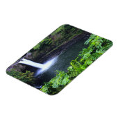 Hawaii, Big Island, Hilo, Regenbogenfälle, Lush Magnet (Linke Seite)