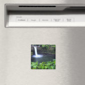 Hawaii, Big Island, Hilo, Regenbogenfälle, Lush Magnet (In Situ (Geschirrspüler))